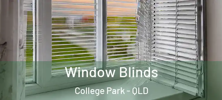 Window Blinds College Park - QLD
