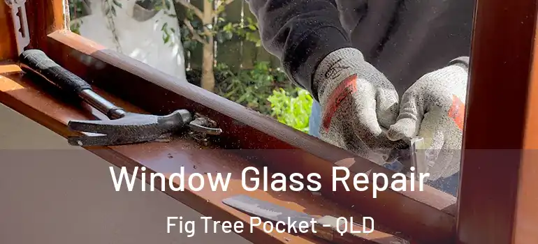  Window Glass Repair Fig Tree Pocket - QLD