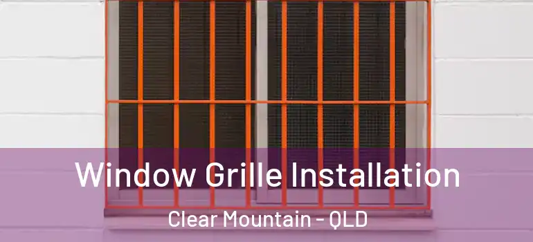  Window Grille Installation Clear Mountain - QLD