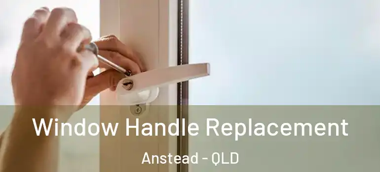  Window Handle Replacement Anstead - QLD