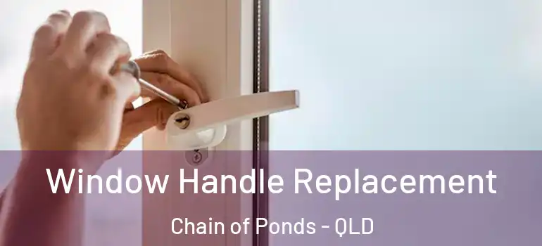  Window Handle Replacement Chain of Ponds - QLD