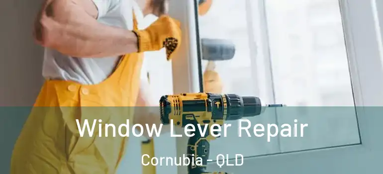  Window Lever Repair Cornubia - QLD
