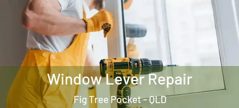  Window Lever Repair Fig Tree Pocket - QLD