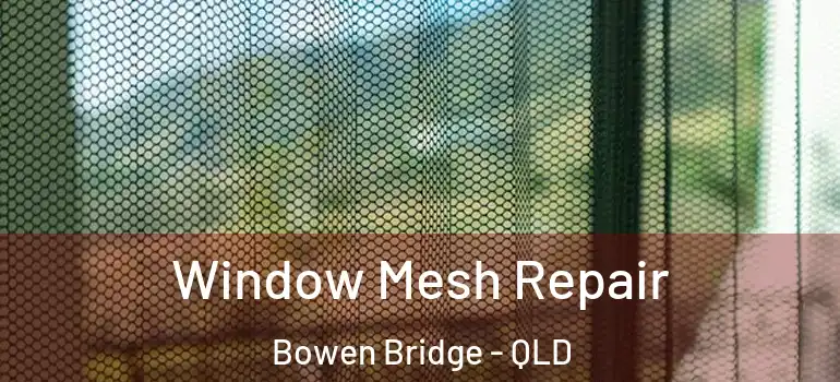  Window Mesh Repair Bowen Bridge - QLD