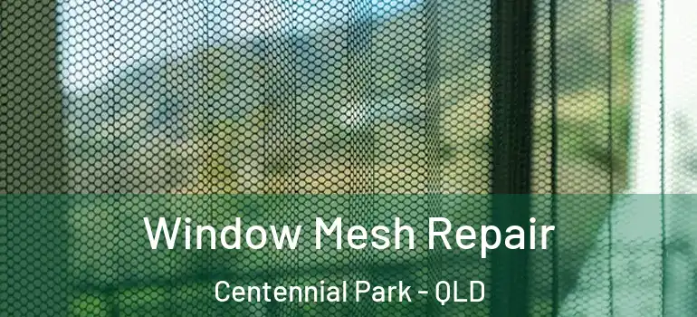  Window Mesh Repair Centennial Park - QLD