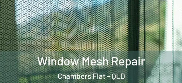  Window Mesh Repair Chambers Flat - QLD