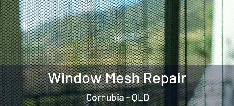  Window Mesh Repair Cornubia - QLD