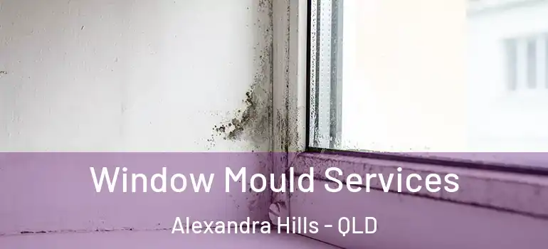  Window Mould Services Alexandra Hills - QLD