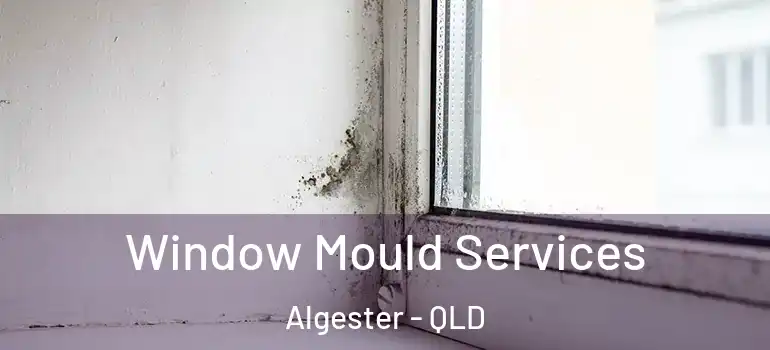  Window Mould Services Algester - QLD
