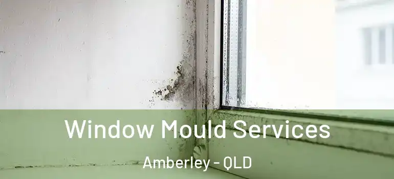  Window Mould Services Amberley - QLD