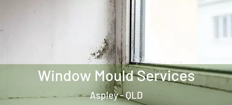  Window Mould Services Aspley - QLD