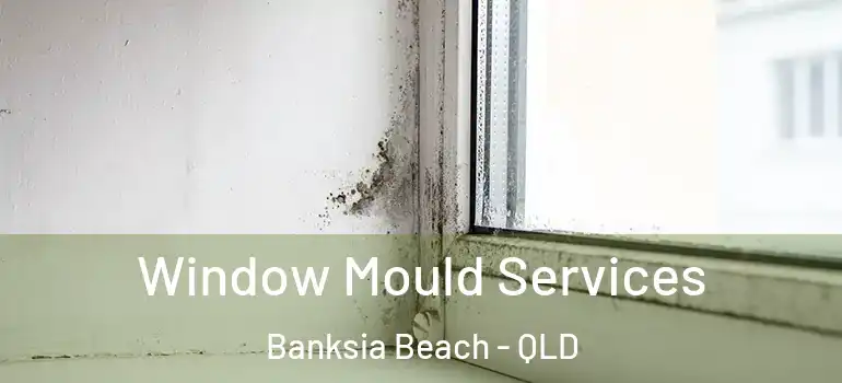  Window Mould Services Banksia Beach - QLD