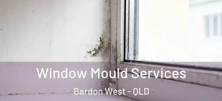  Window Mould Services Bardon West - QLD