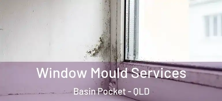  Window Mould Services Basin Pocket - QLD