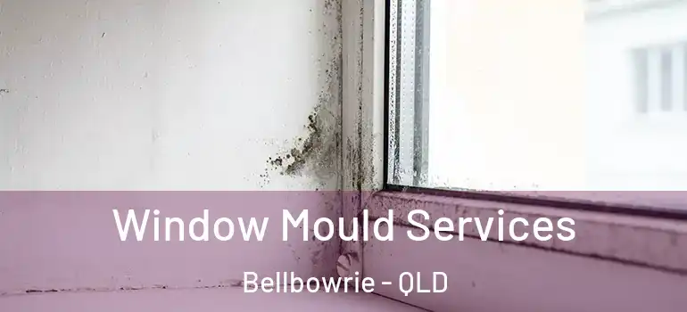  Window Mould Services Bellbowrie - QLD