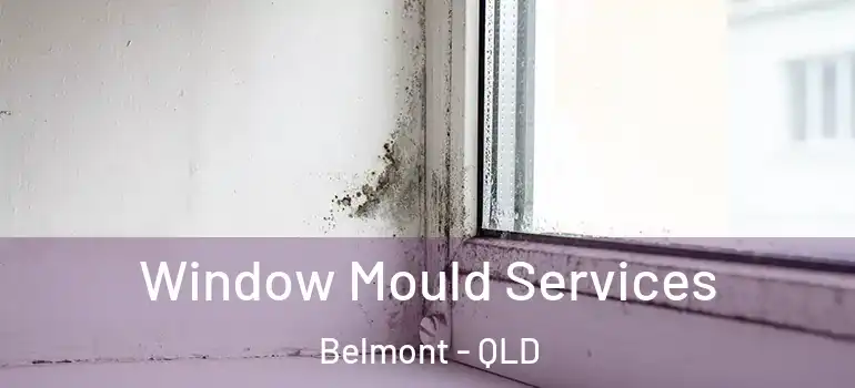  Window Mould Services Belmont - QLD