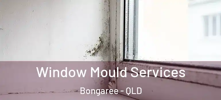  Window Mould Services Bongaree - QLD