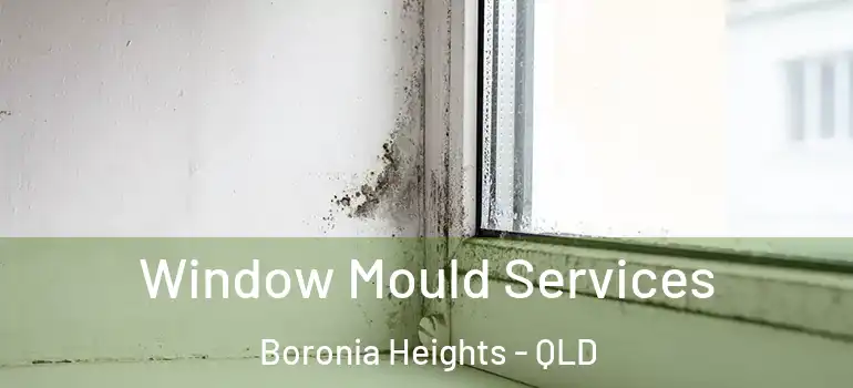  Window Mould Services Boronia Heights - QLD