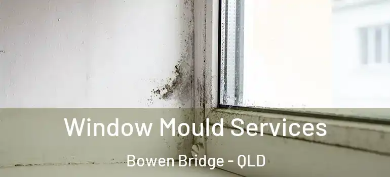  Window Mould Services Bowen Bridge - QLD