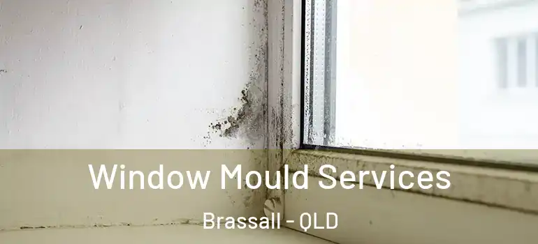  Window Mould Services Brassall - QLD