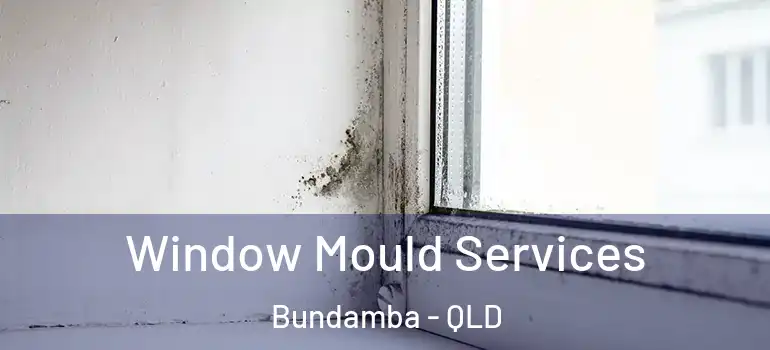  Window Mould Services Bundamba - QLD