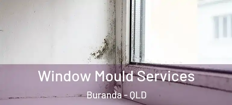  Window Mould Services Buranda - QLD