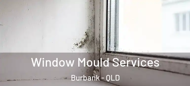  Window Mould Services Burbank - QLD