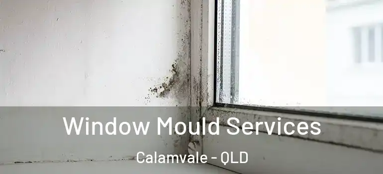 Window Mould Services Calamvale - QLD
