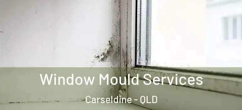  Window Mould Services Carseldine - QLD