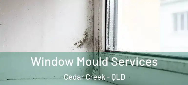  Window Mould Services Cedar Creek - QLD