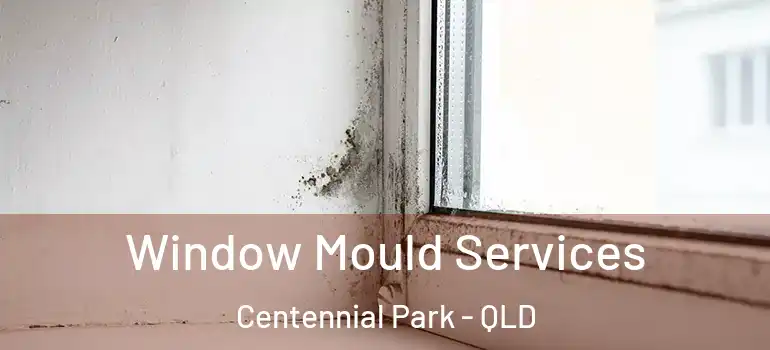  Window Mould Services Centennial Park - QLD