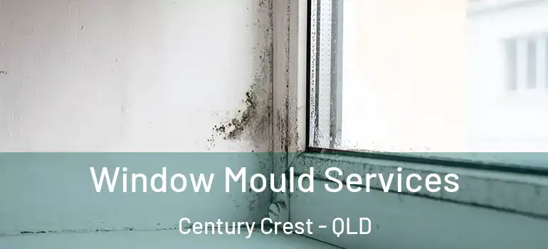  Window Mould Services Century Crest - QLD