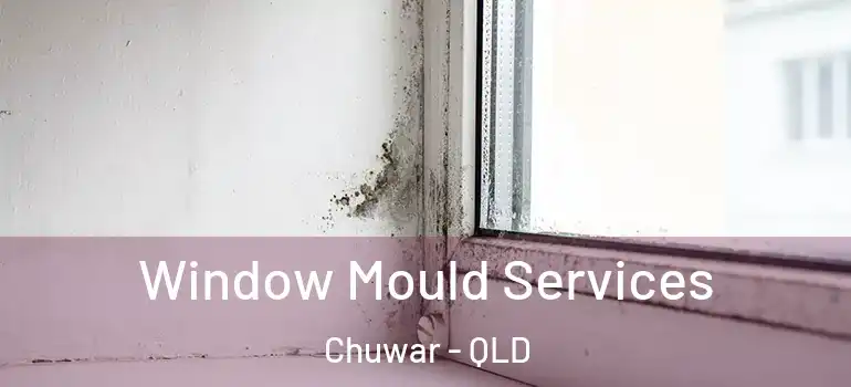  Window Mould Services Chuwar - QLD