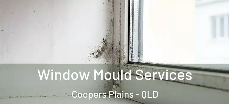  Window Mould Services Coopers Plains - QLD
