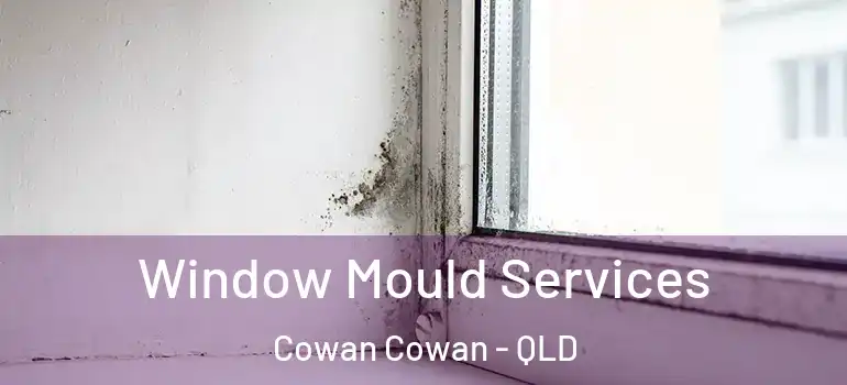  Window Mould Services Cowan Cowan - QLD