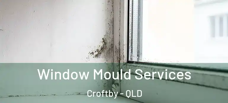  Window Mould Services Croftby - QLD