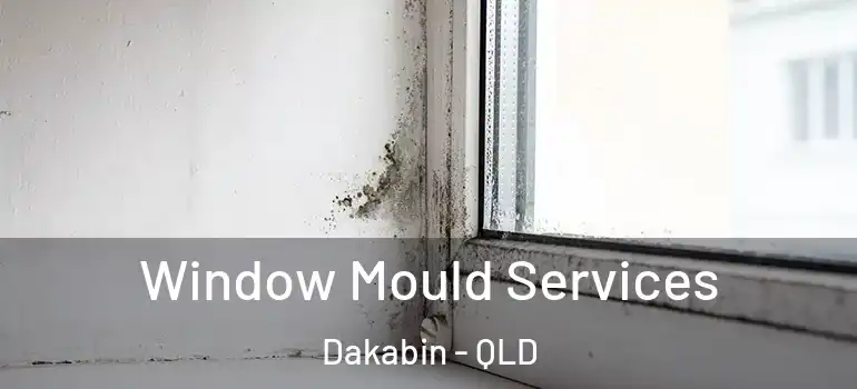  Window Mould Services Dakabin - QLD
