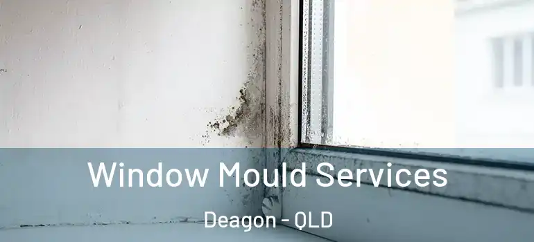  Window Mould Services Deagon - QLD
