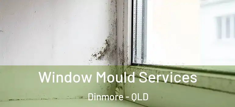  Window Mould Services Dinmore - QLD
