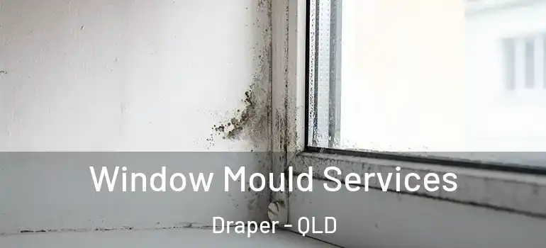  Window Mould Services Draper - QLD