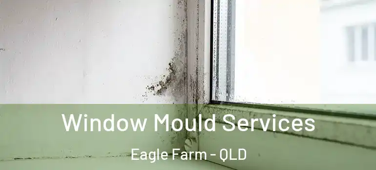  Window Mould Services Eagle Farm - QLD