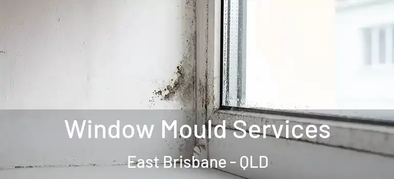  Window Mould Services East Brisbane - QLD