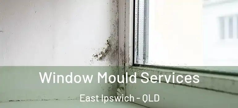  Window Mould Services East Ipswich - QLD