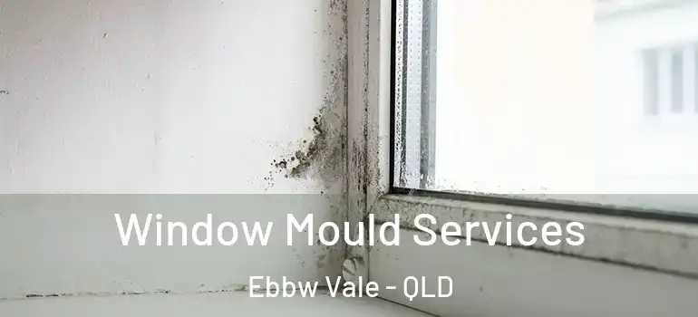  Window Mould Services Ebbw Vale - QLD