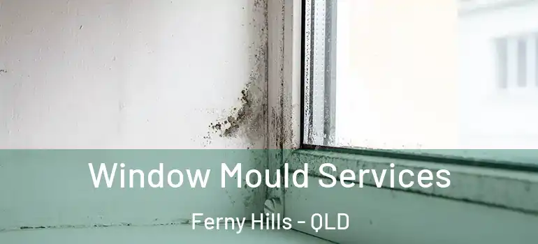  Window Mould Services Ferny Hills - QLD