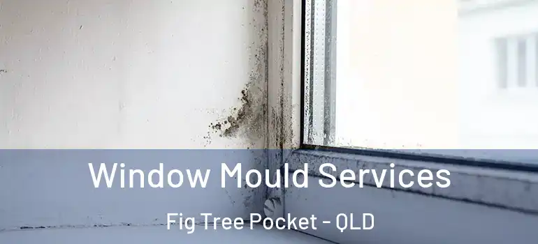  Window Mould Services Fig Tree Pocket - QLD