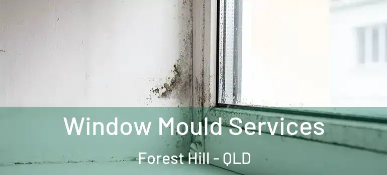  Window Mould Services Forest Hill - QLD