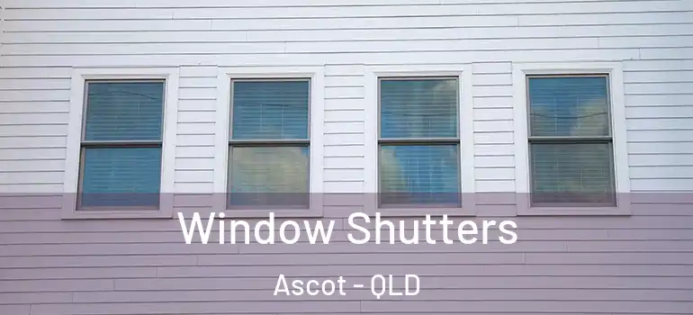  Window Shutters Ascot - QLD