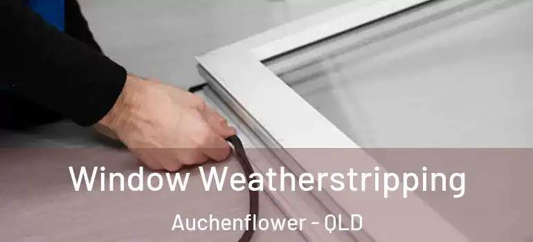  Window Weatherstripping Auchenflower - QLD