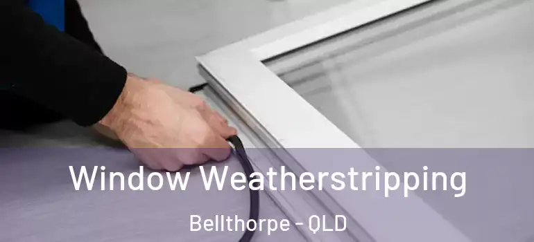  Window Weatherstripping Bellthorpe - QLD